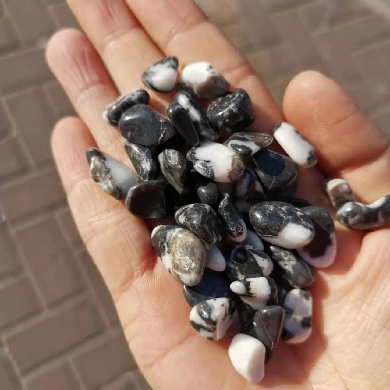 Natural zebra jasper Chakra Tumbled Stones zebra stone Crystal Healing