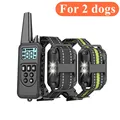 For 2 dogs