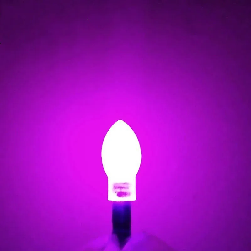 20 Stück/Set Angellichtstab LED-Lampe Anlocklicht Angelposen-Zubehör Kompatibel mit CR425/CR311 Batterie B552 – Detail 7