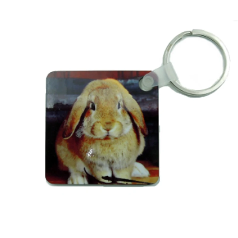 100pcs/lot Wholesale Fashion diy OEM Sublimation keychain Wooden car Key Rings  White blank MDF Key Chain for Heat Press