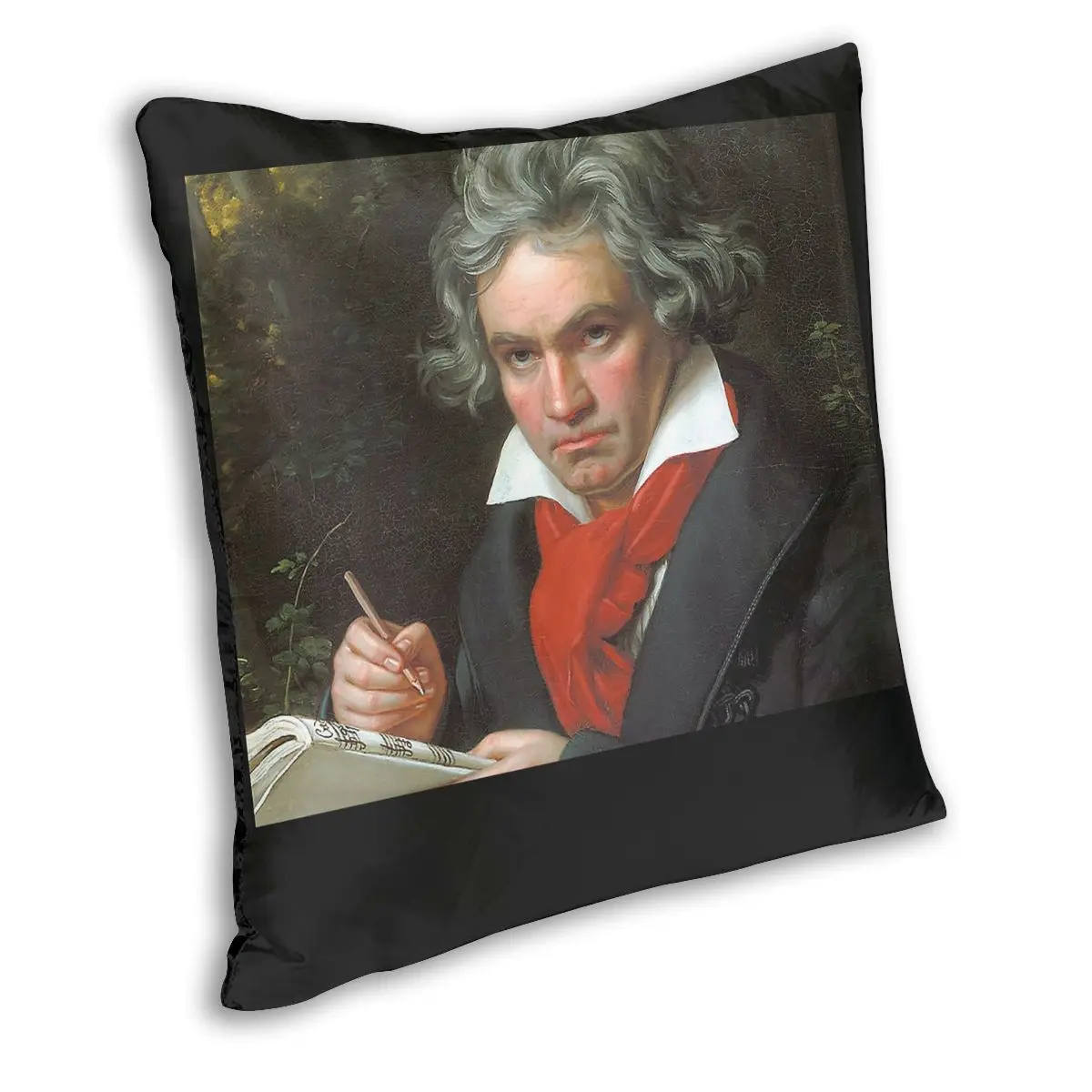 Beethoven Portrait 1819 Throw Pillow Cover Decorative Pillow Funny Cushion Covers