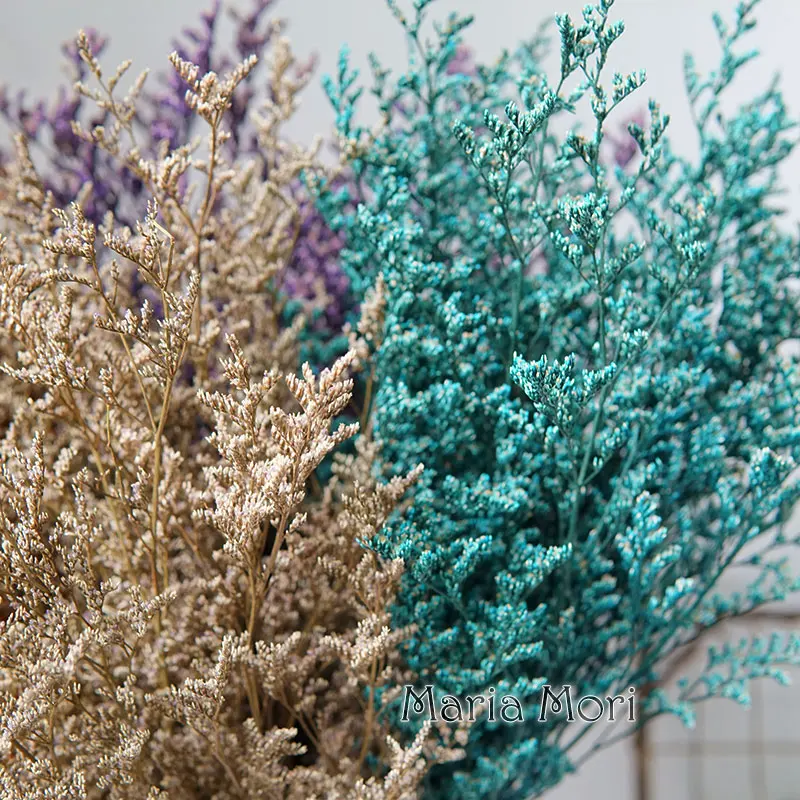 INS Phổ Biến Được Bảo Quản Lễ Tình Nhân Cỏ Limonium Hoa Lovergrass Cho Bán Hoa Phụ Kiện Trang Trí Nhà Cửa