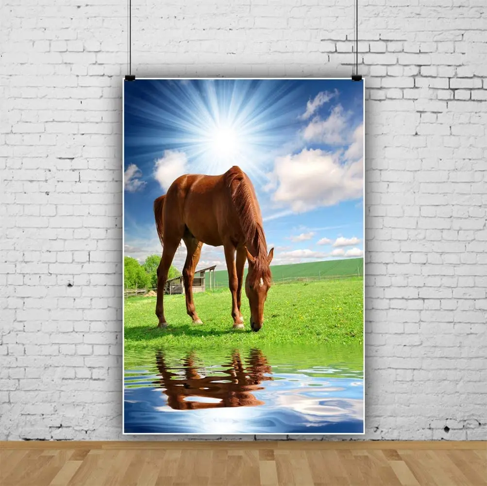 Grass Pasture Scenery Photography Backdrop Brown Horse Drinking Water Photo Background Bright Shiny Sunshine Blue Sky Poster