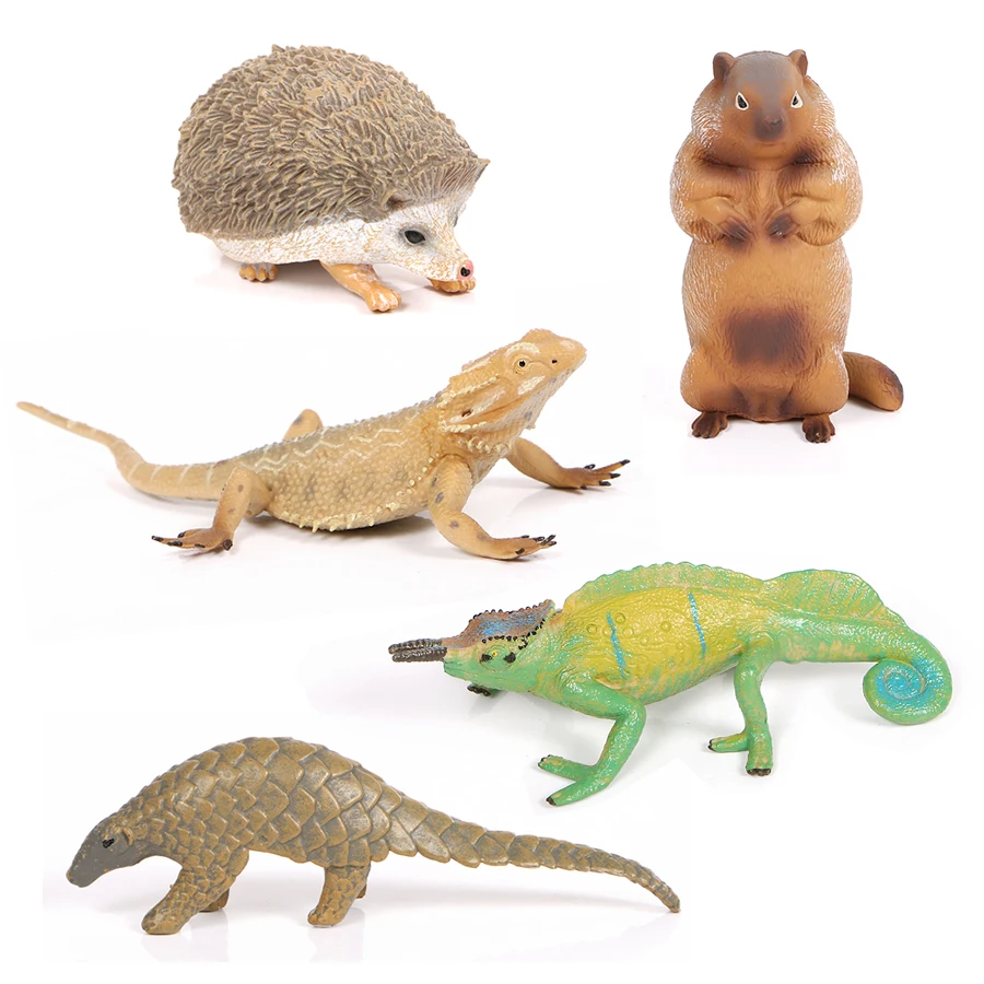 Action Toys Figure Animal models Wild Zoo Lizard Hedgehog Groundhog Pangolin Simulation Figurine  For Home Garden decoration Toy