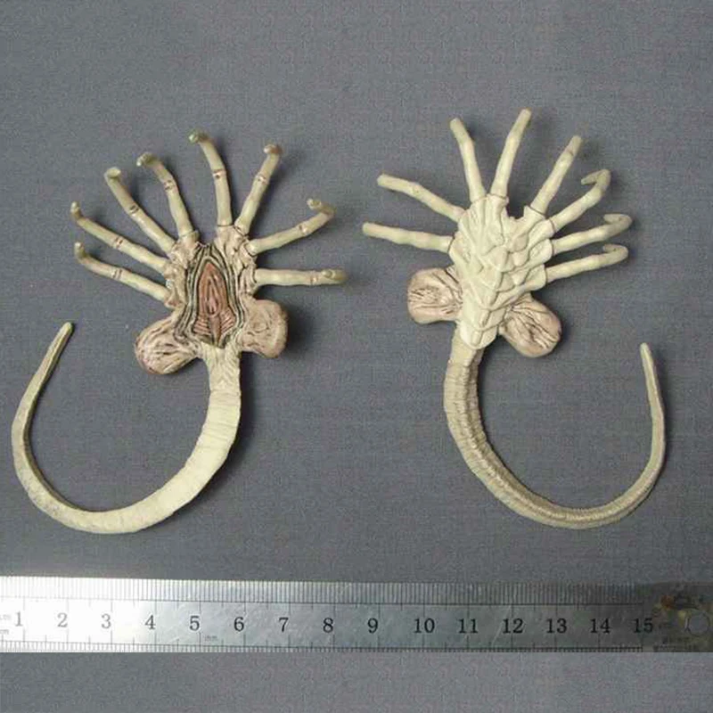 1/6 Alien Predator Beast Facehugger Larvae Action Figure Accessory for 12