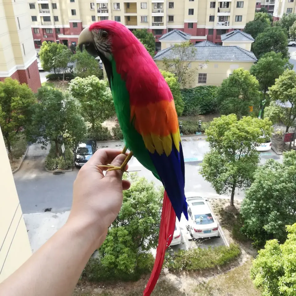 42cm Large Lifelike Toy Bird with Colorful Feathers Parrot Model Handicraft Home Garden Decoration Xmas Gift