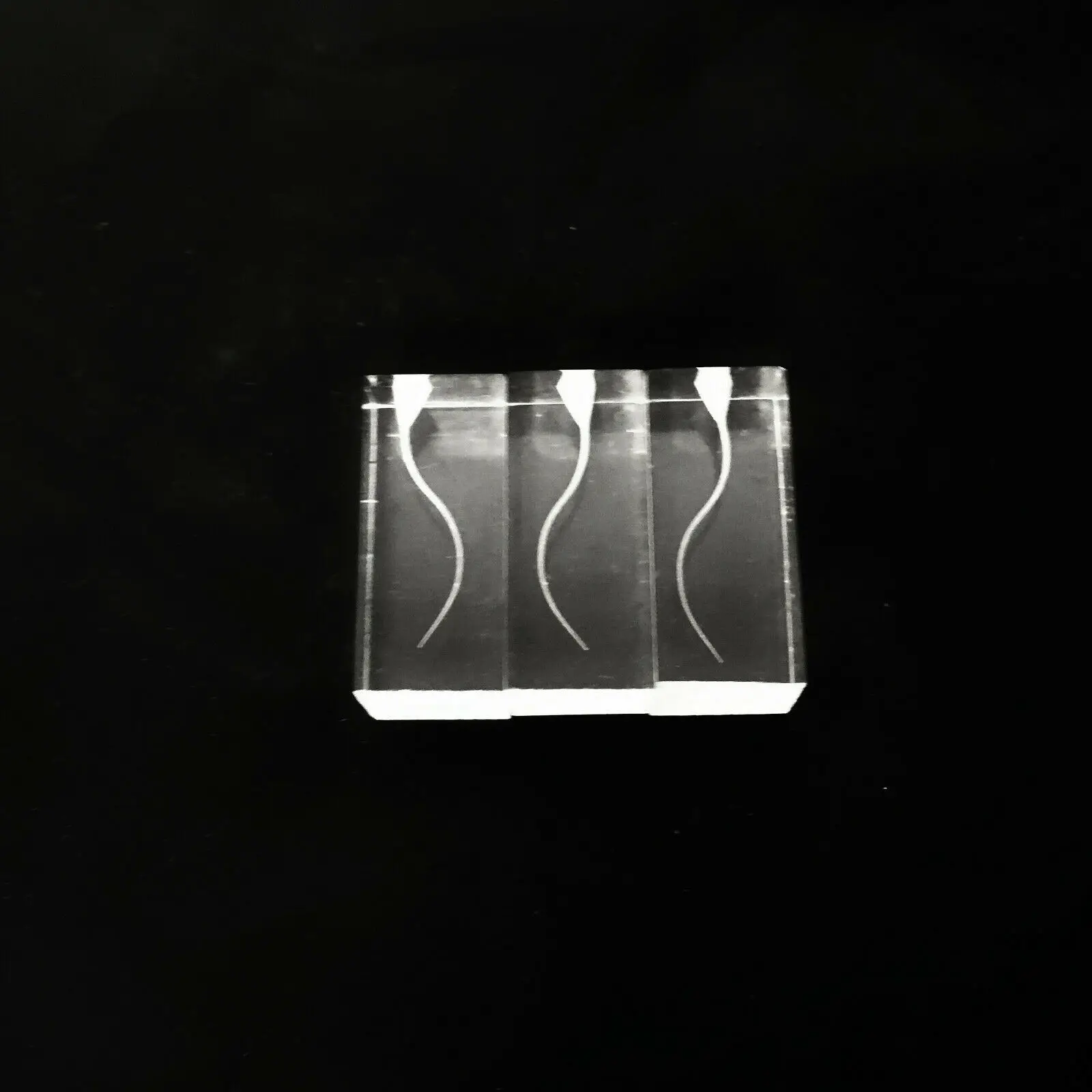 

Dental Transparent Endo Training Blocks Root Canal Files Practice S Type Model