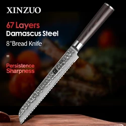 XINZUO 8