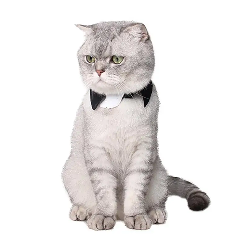 Halloween Pet Dog Cat Necktie Bow Tie Collar Pet Accessories Suit for Small Medium Dogs Cats Adjustable Ghost Bat Cat Costume