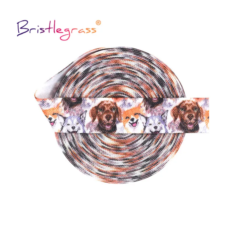 Bristlegrass 2 5 10 Yard Elastic Rope for DIY Projects