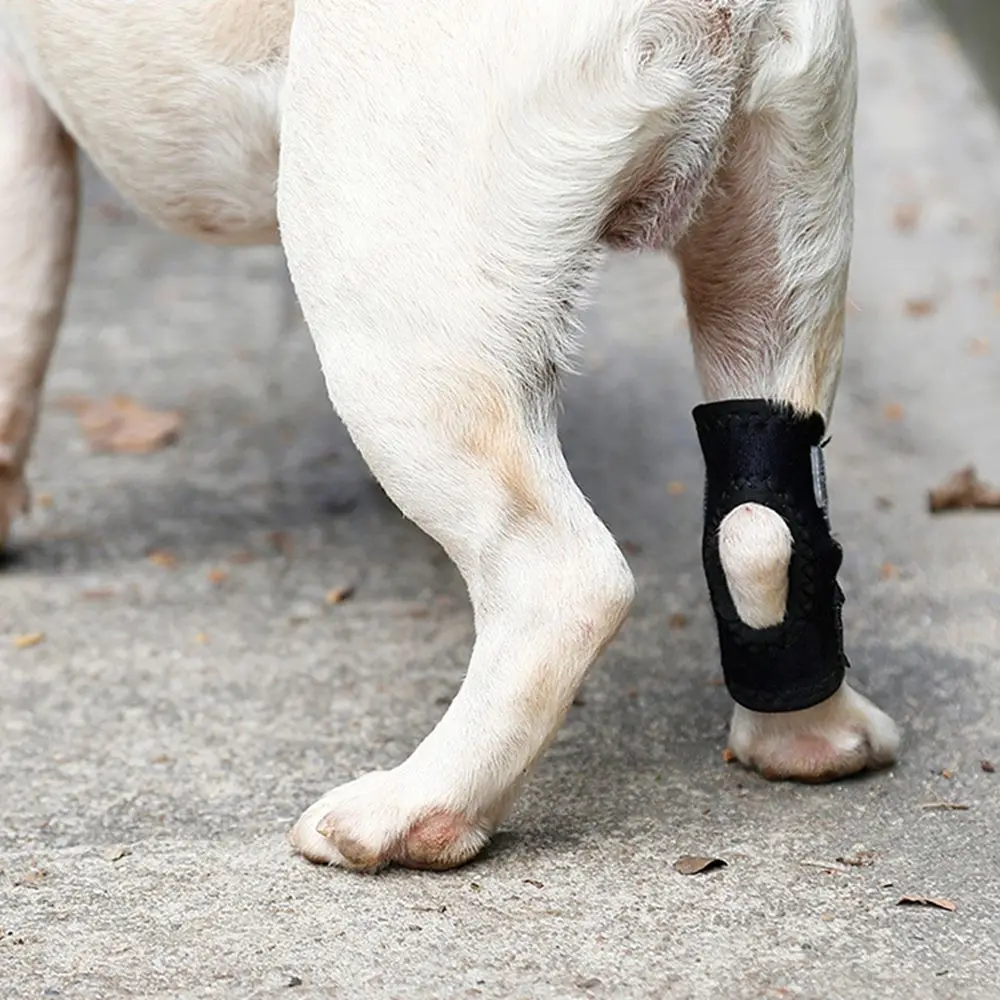 Joelheiras respiráveis para pet, suporte para perna, envoltório conjunto de jarrete, recuperação de pernas, protetor do cão, protege bandagem, 1 pc