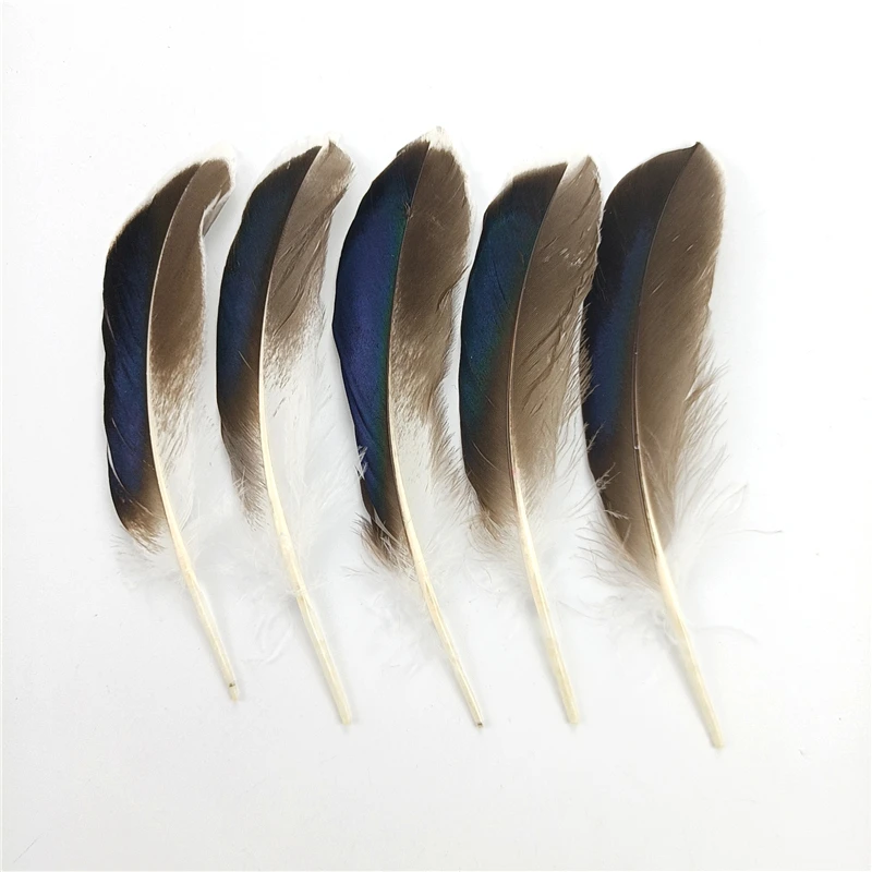 Wholesale Colored Pheasant Feathers for Crafts 10-15cm Natural Feather Headdress DIY Jewelry Creation Holiday Decorations Plumas