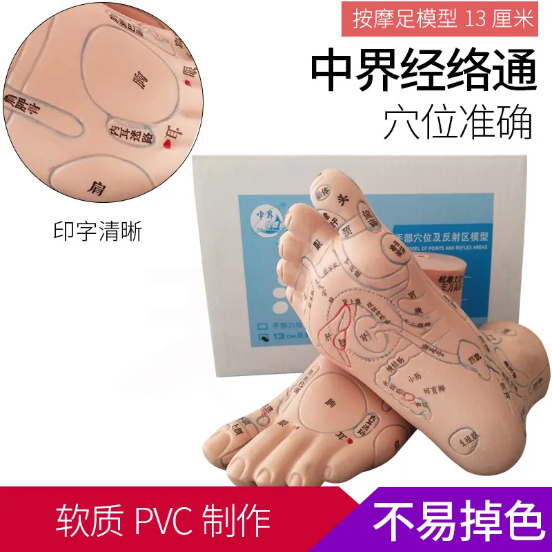 13cm Foot Reflex Zone Massage Model, Not Acupuncture Model, Foot Massage Model Chinese Language Feet Reflexology,1 Pair Medical