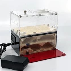 Expandable connecting Concrete Natural sand auto template heating control ant nest,light shading ant farm colony big formicarium