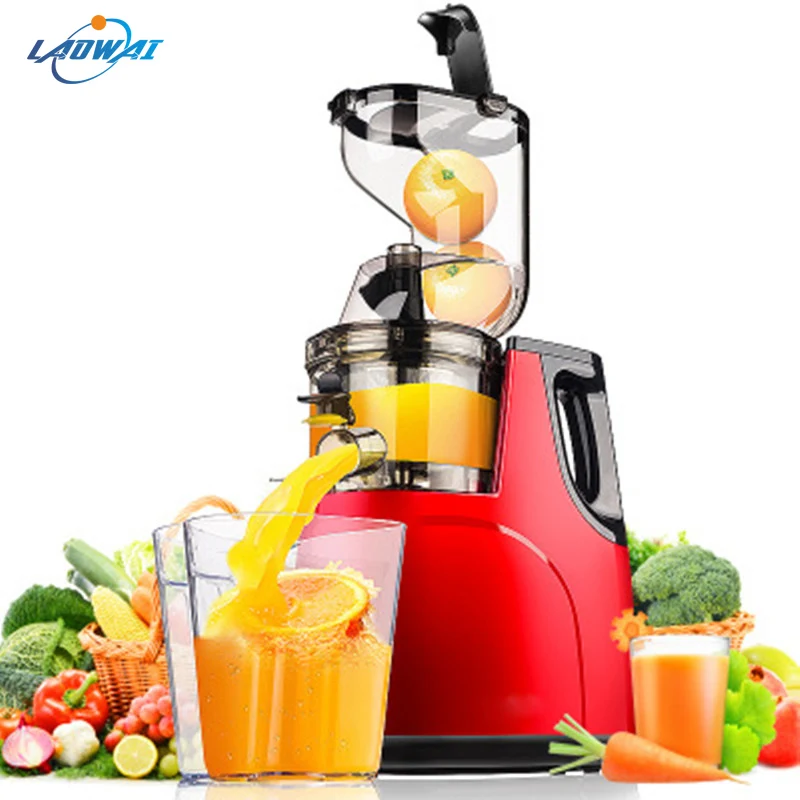 

220V Electric Juicer Juice Extractor Fruits Juicing Machine