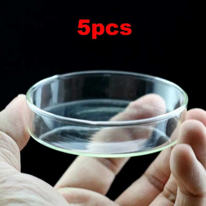 5pcs Round Aquarium Crystal Red Shrimp Feed Food Bowl Cup Aquatic Tank Shrimp Feeder Crab Snail Fish Food Dish Container 6cm