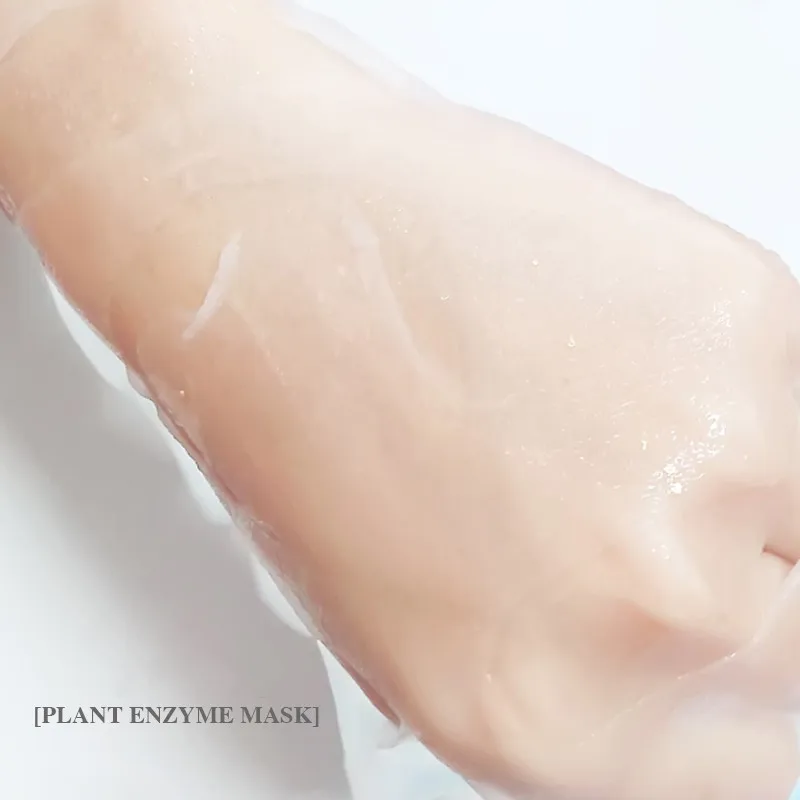 Plant Enzyme Face Mask Refreshing Control Oil Tightens Pores Replenish Water Moisturize Moisten Brighten OEM Wholesale