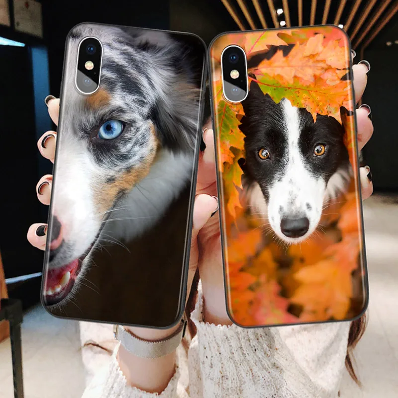 Border Collie Dog For Apple iPhone 15 14 13 12 11 Pro Max Mini XS X XR 7 8 6 Plus 5S Silicone Black Soft Phone Case