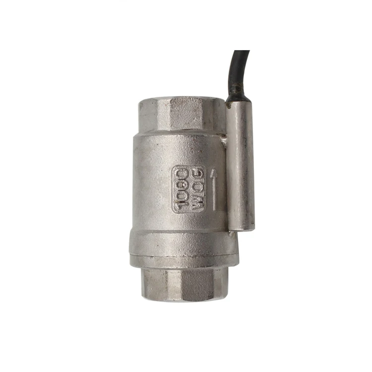 สแตนเลส304แนวตั้งตรวจสอบวาล์ว One-Way วาล์วท่อกระแสเงินสดสวิทช์เหนี่ยวนำ Water Flow Sensor