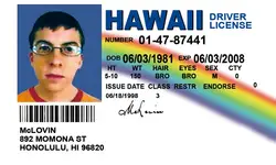 Banner bandiera McLovin 3x5ft