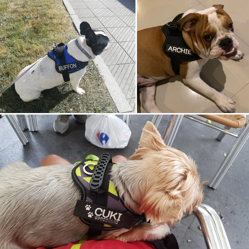 Imbracature riflettenti regolabili in Nylon per cani con etichette con nome personalizzabili cinturino per gilet per cani per cani di taglia media e