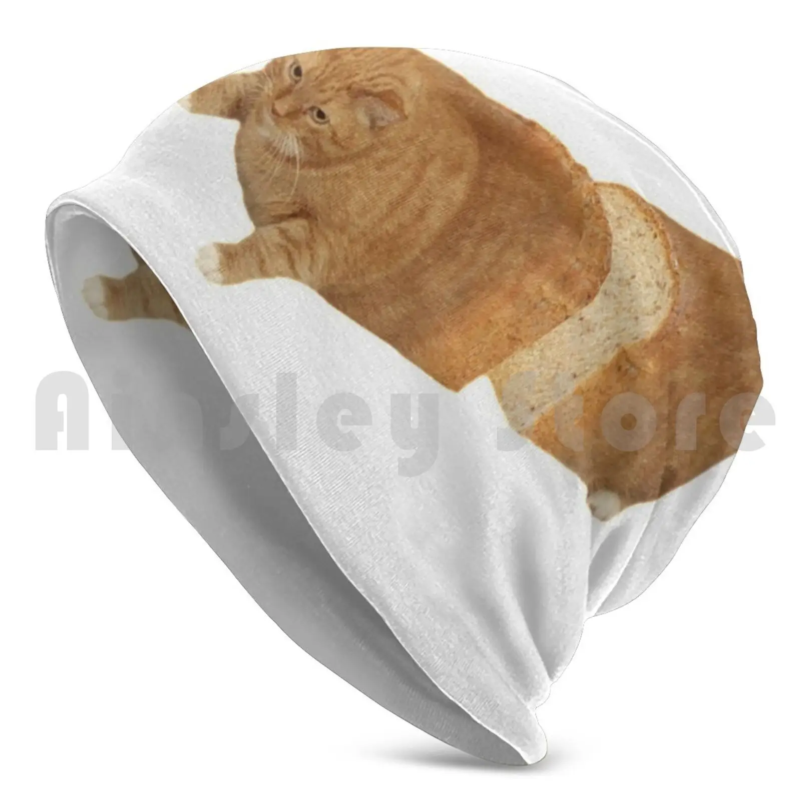 Cat Loaf Beanie Hedging Cap DIY Print Cushion Cats Cat Sunglasses Sunglass Kitty Kittie Kittys Meow Cute Funny Meme