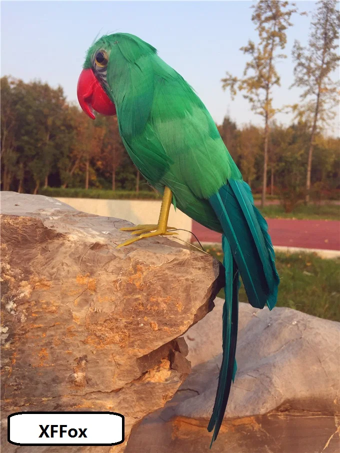 30cm Creative Real Life Red-Mouthed Parrot Model Foam & Feather Green Parrot Bird Gift Unique Home Decor Collectible