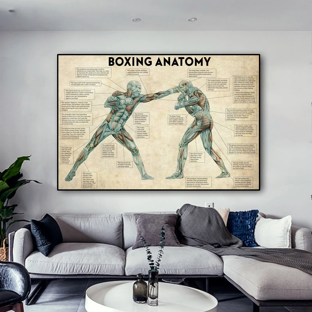 Vintage Boxing Body Anatomy Posters and Prints Wall Art Canvas Painting Boxing Lover Gift for Gym Room Cuadros Home Decoration view 2