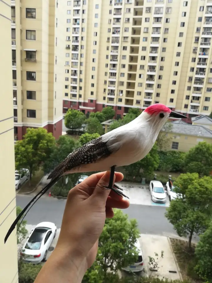 

about 30cm lifelike bird woodpecker ,foam & feathers bird model toy,prop,home garden decoration Xmas gift w0585