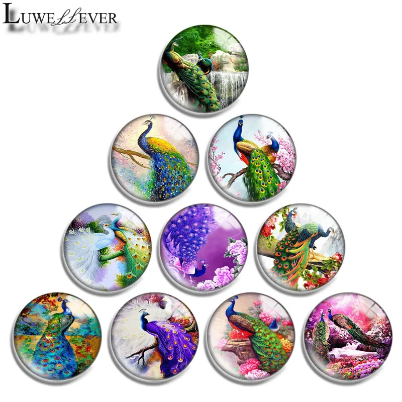 10mm 12mm 16mm 20mm 25mm 30mm 656 Peacock Mix Round Glass Cabochon Jewelry Finding 18mm Snap Button Charm Bracelet