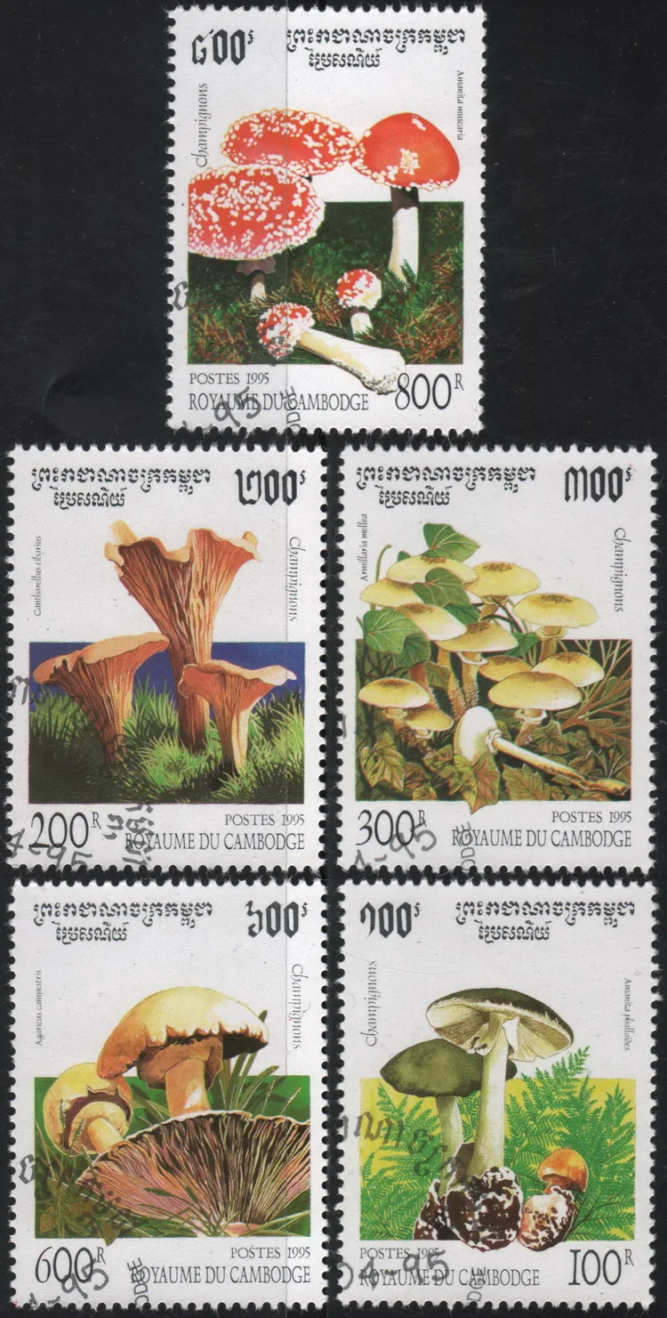 5Pcs/Set Cambodia P… - image