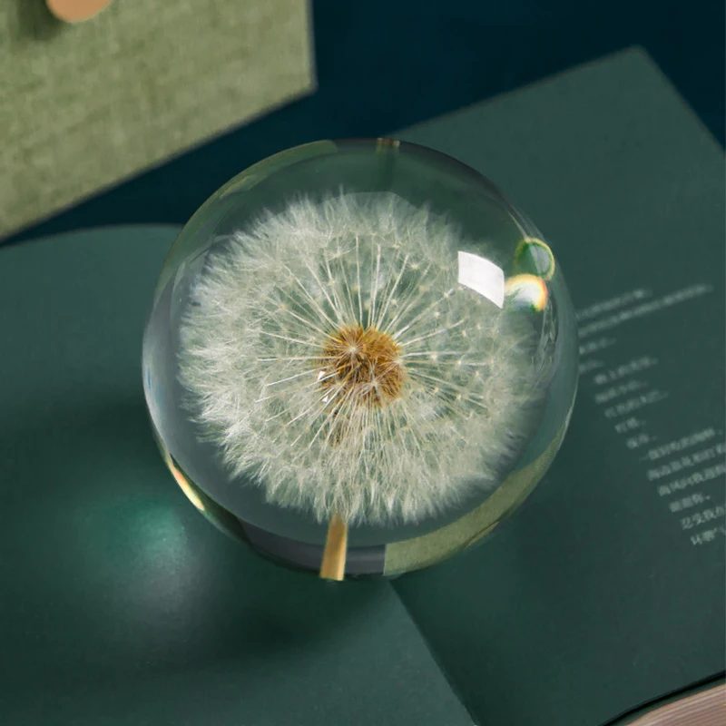 

Real Dandelion Crystal Glass Resin Lens Ball 80mm Natural Plants Specimen Feng Shui Flowers Christmas Love Gift Home Decor Globe