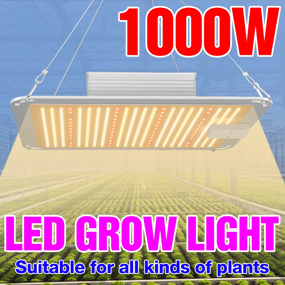 Led Grow Light Full Spectrum 300W 500W 1000W 2000W 4000W Phyto Lamp For Plants Light Indoor Plant Seeds Growth Grow Tent Box