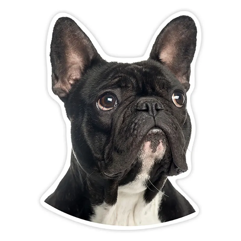 

PVC-0167# Various Sizes Self-adhesive Decal French Bulldog Car Sticker Waterproof Auto Decors on Bumper Rear Window