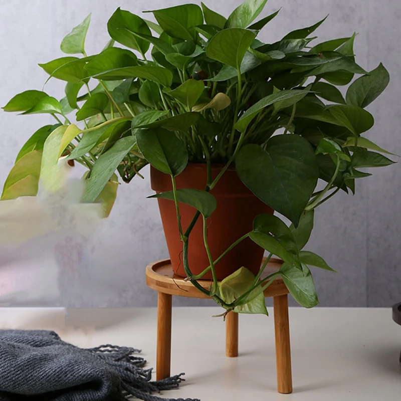 Planta de madeira estande vaso de flor base titular fezes alta fezes varanda suculenta redonda flor prateleira para interior ao ar livre