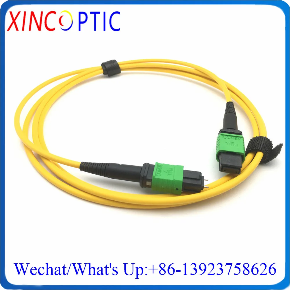 12Fibers,SMF OS1 G657A1,A/B/C Type,12C MPO/APC Female to MPOAPC F 3M 3.0mm LSZH Mini Round Cable Fiber Optic Patch Cord Jumper