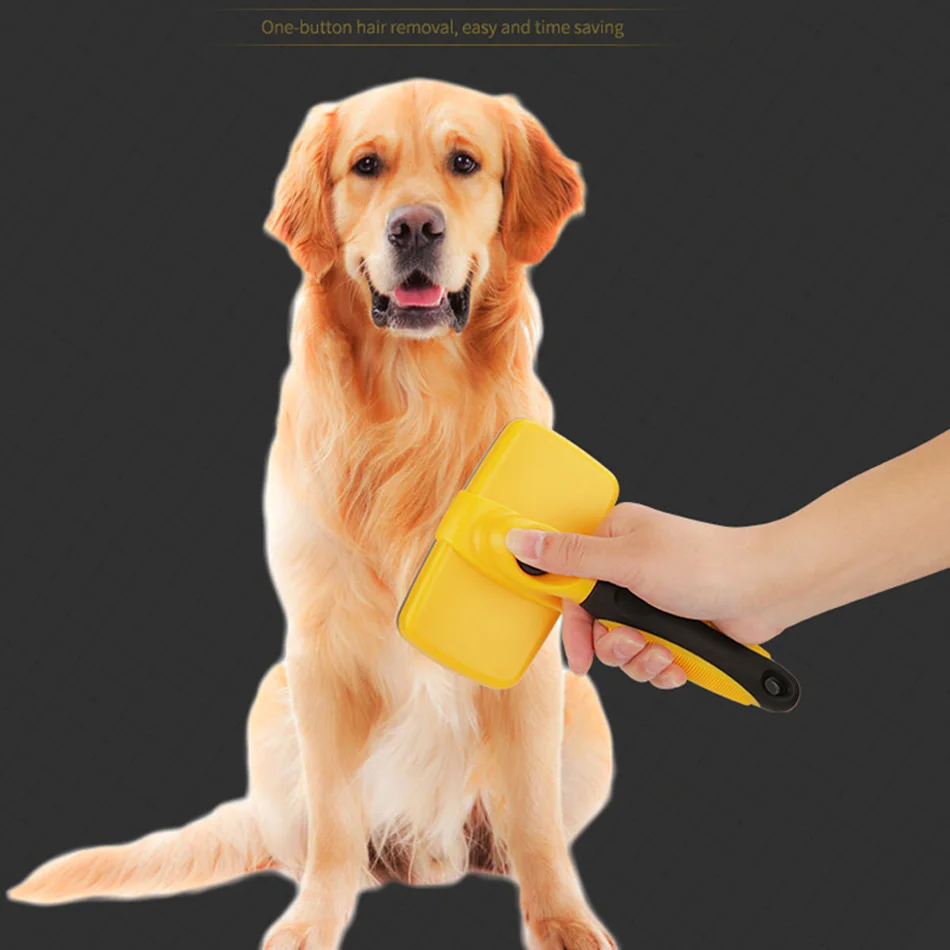 Chó Lược Tẩy Lông Bàn Chải Samoyed Hưu Vàng Tóc Chuyên Dụng Cho Thú Cưng Lớn Tiếp Liệu Hiện Vật