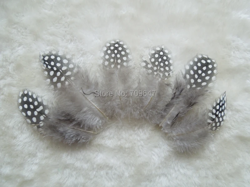 200Pcs/Lot! 5-7cm Small Guinea Fowl Feathers Real Feathers Spotted Loose Natural Feathers For Crafts With White Polka Dots