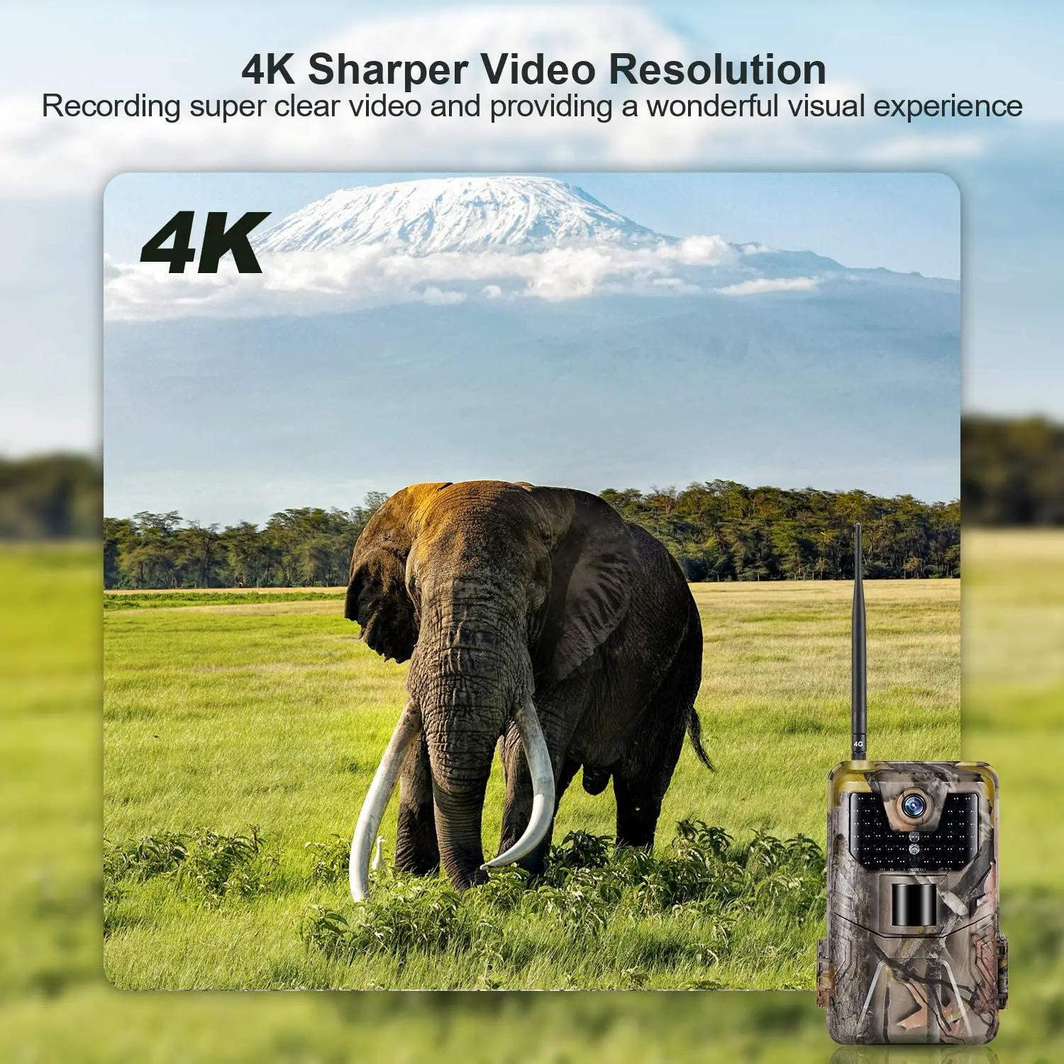Live-Übertragungs-App Wildkamera Cloud-Service 4G 30MP Kabellose Jagdkameras HC900PRO 0,3S Nachtsicht – Detail 9