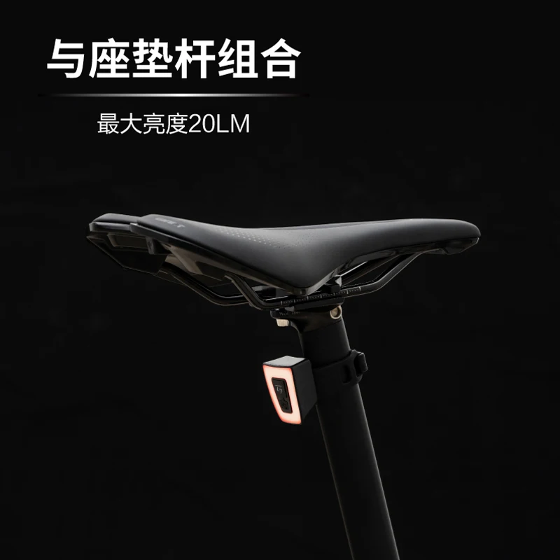 Giant Original Twinkle Bike Tail Light Bicycle Lights USB Charging LED Warning Lights Night Bike Rear Light MTB Bike Equipment