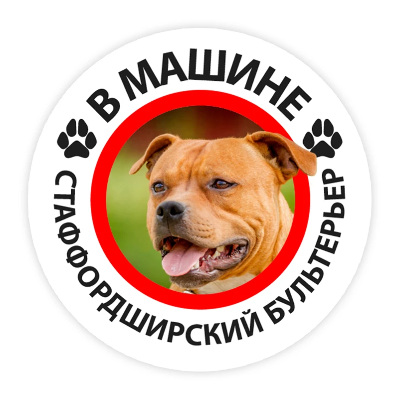 

B0229# 13CM Self-adhesive Decal Staffordshire Bull Terrier in the Car Car Sticker Waterproof Auto Decors on Bumper Rear Window