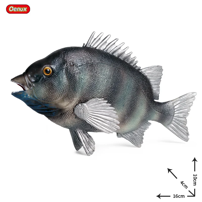 Oenux 海の生物動物モデルアクションフィギュア海の魚バショウカジキ