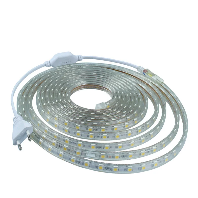 Silikonowa rurka AC 220 V Wodoodporna taśma LED 5050 SMD 1M/2M/3M/4M/5M/6M/7M/8M/9M/10M/15M/20M 60LEDs/M + wtyczka zasilania UE