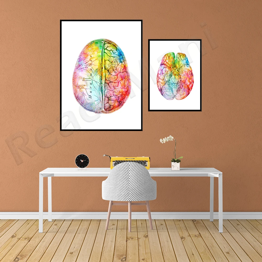 Watercolor brain print, neurology art medical poster, clinic decoration psychologist art