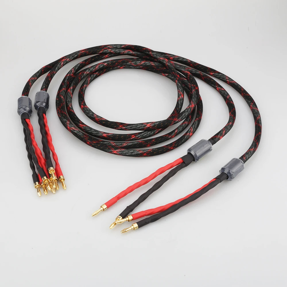 Cavo Audiophile HIFI spina da Banana a Banana Biwire HI-End cavo per altoparlanti elettrico occidentale cavo per altoparlanti linea Audio