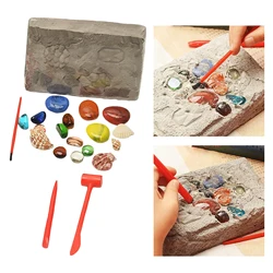 Precious Stones Excavation Archeology Kit  Up Fossils Treasure