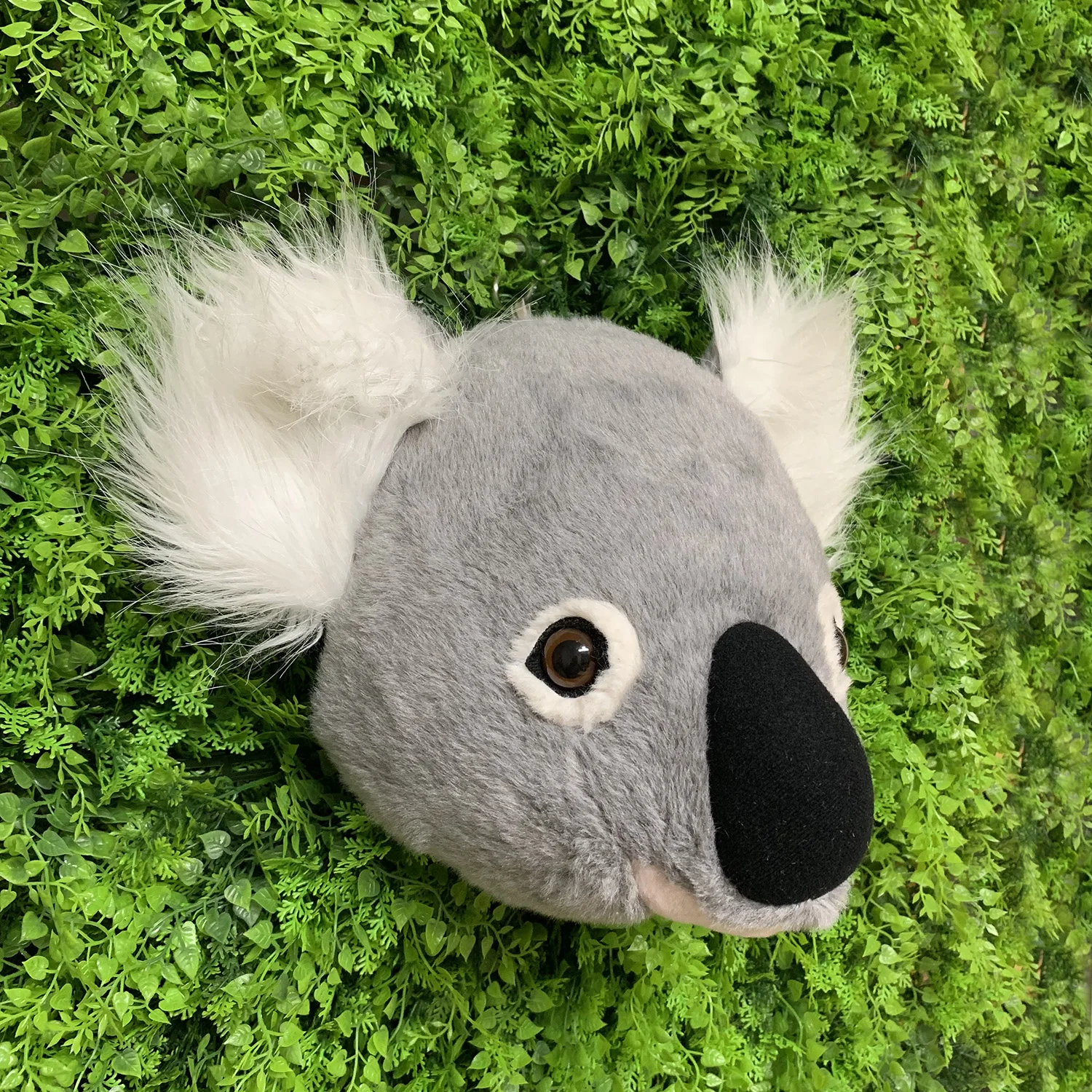 2021 urodziny pluszaki 2020 New Arrival Super piękne słodkie małe Koala niedźwiedź pluszowe zabawki przygoda koala Doll dekoracje ścienne