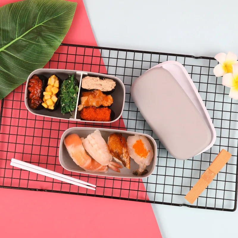 Small Plastic Lunch Box Cute Bento Kids Lunch Box 2 Layers