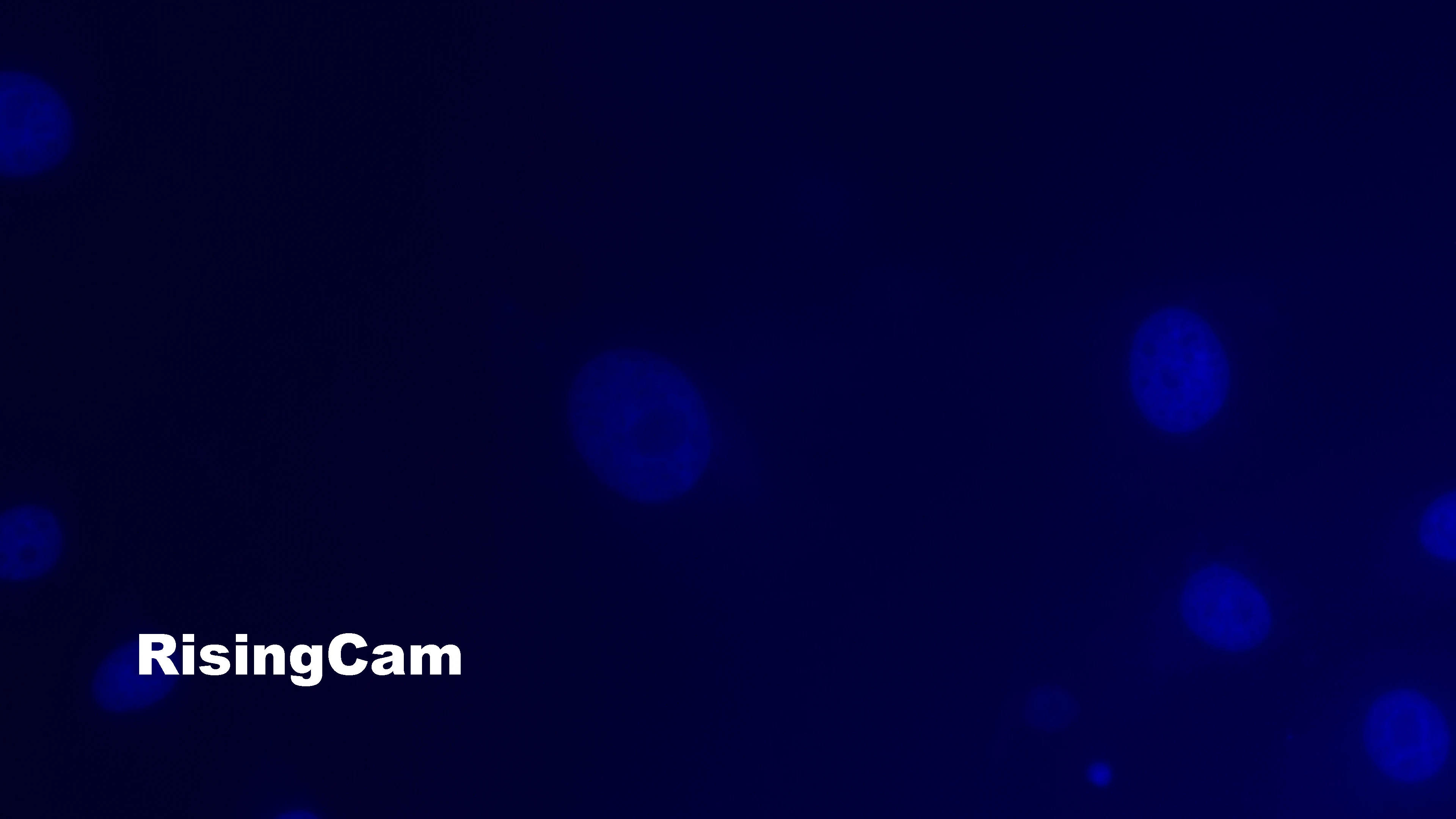 Ultrahochempfindliche 96fps 2,1MP imx482 1/1,2-Zoll-Sensor USB3.0 Digitalmikroskopkamera für biologische Dunkelfeld-Fluoreszenz – Detail 19