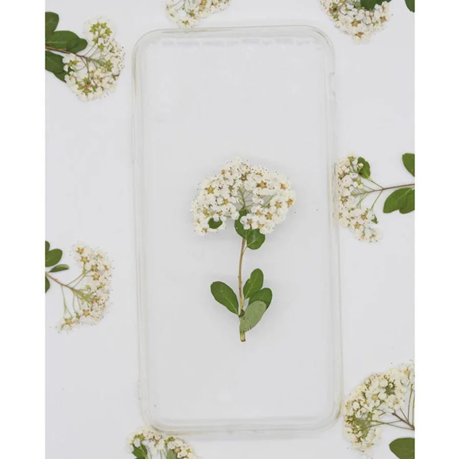 120pcs Dried Pressed Natural Color Spiraea Flower Stalk Plants Herbarium For Jewelry Postcard Bookmark Phone Case DIY Decoration